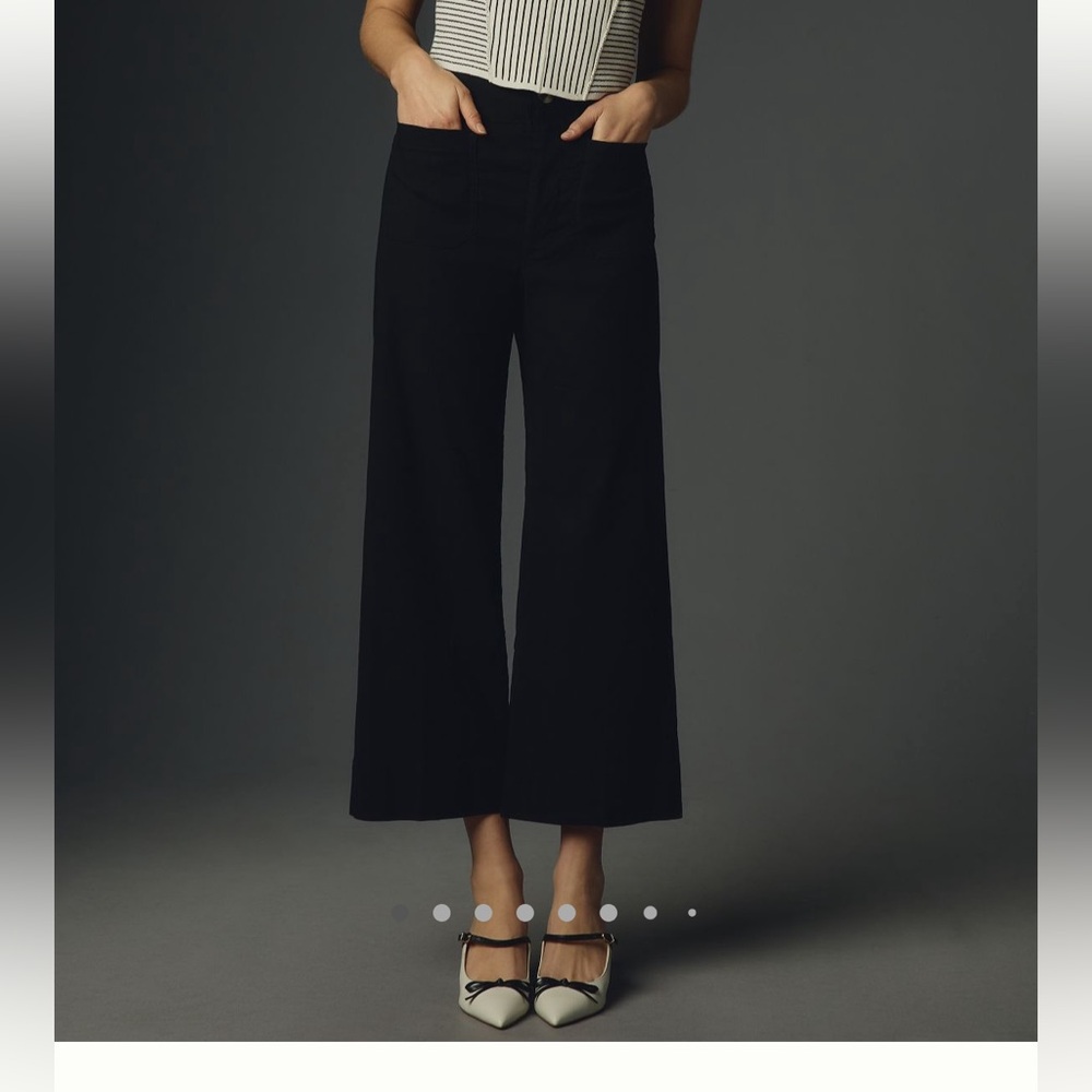 NWOT Anthropologie Maeve Colette wide-leg pant 28T